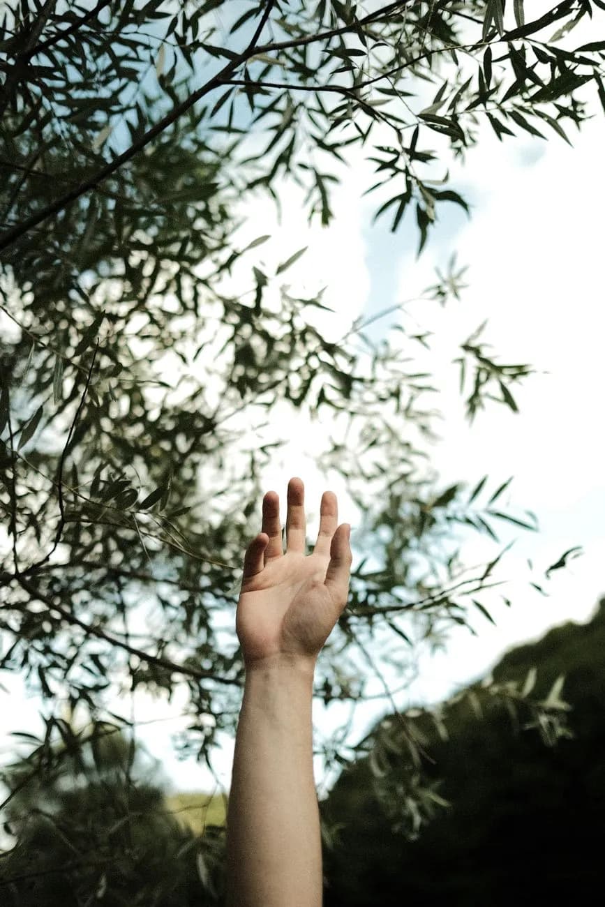 A Powerful Prayer for Book Of Enoch | Seek God's Grace
