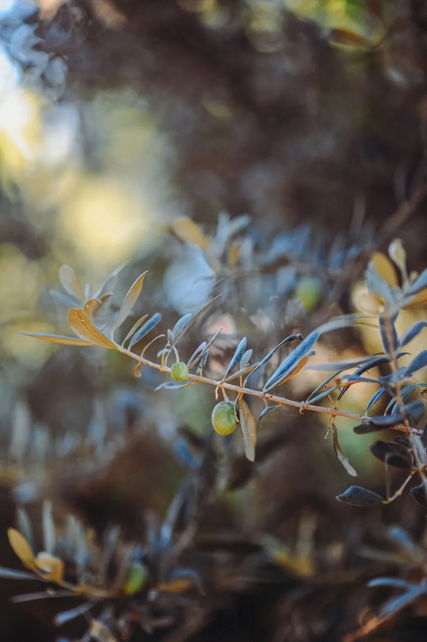A Powerful Prayer for Christian Books.com | Seek God's Grace