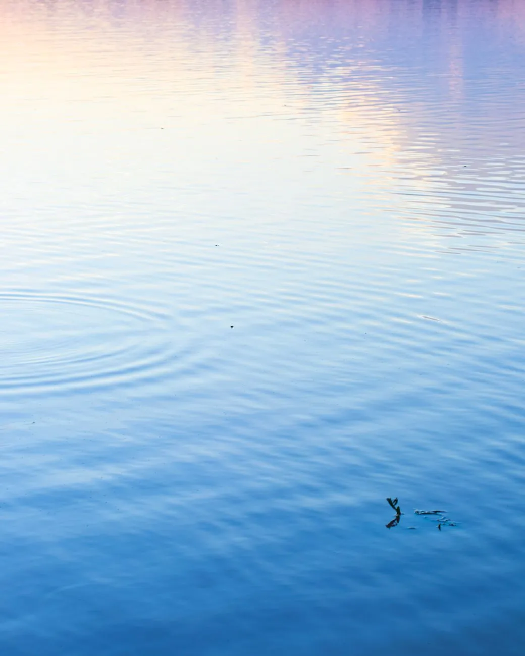 Finding Hope When Life Falls Apart