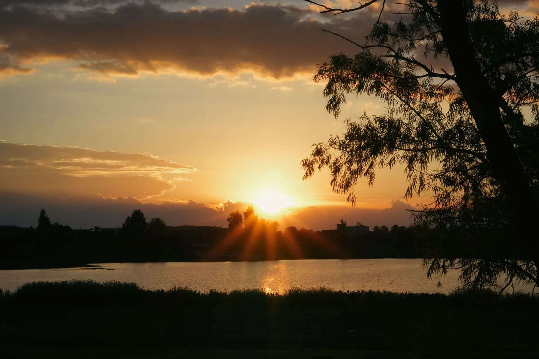 Finding Perfect Peace in an Unsettled World: Anchoring Your Heart in God