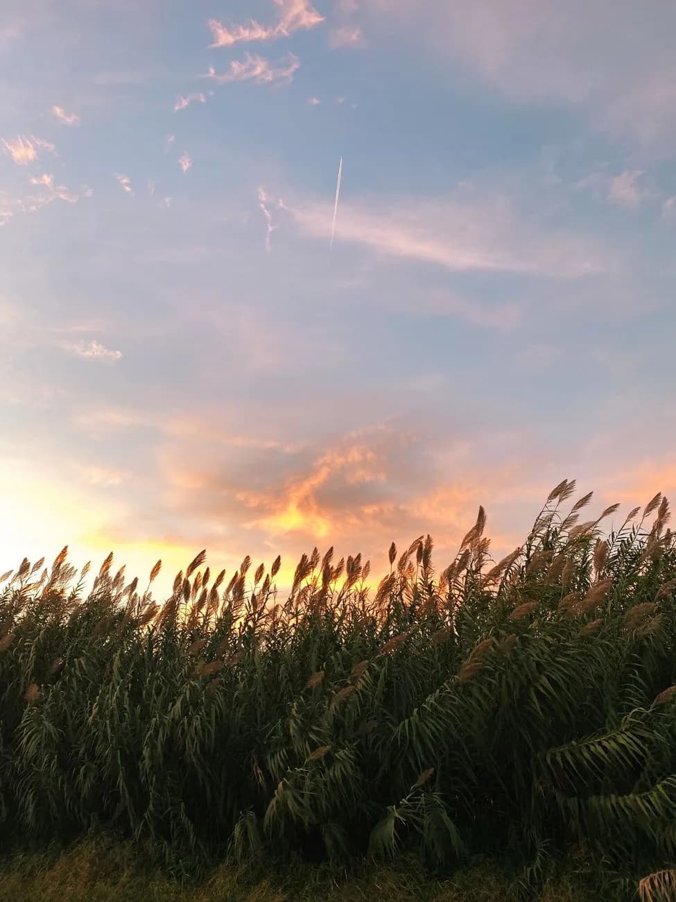 Finding Unshakeable Peace in a World of Chaos: God Is Your Refuge