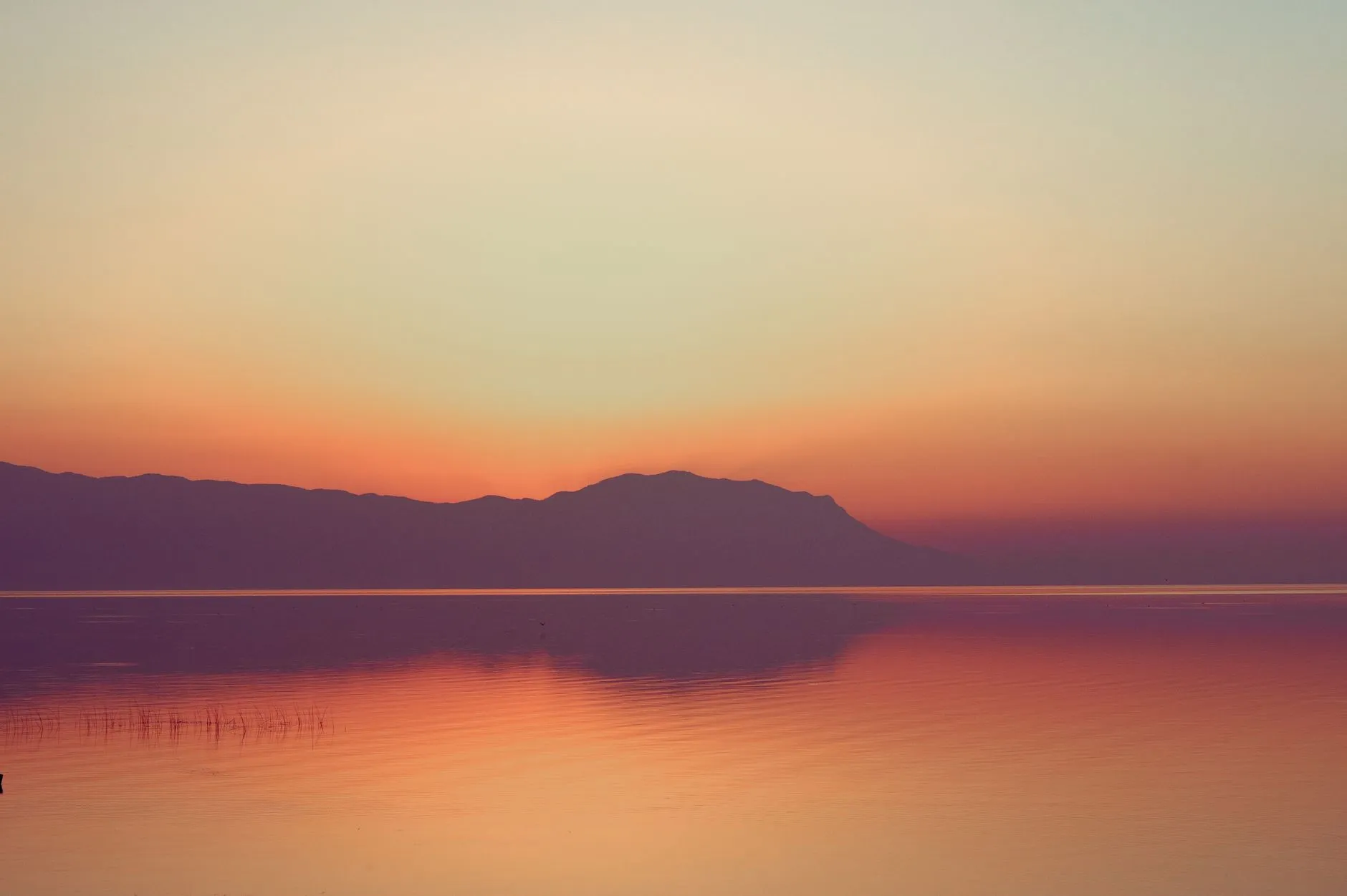 How to Pray for Someone Who Is Dying: A Guide for Comfort and Peace