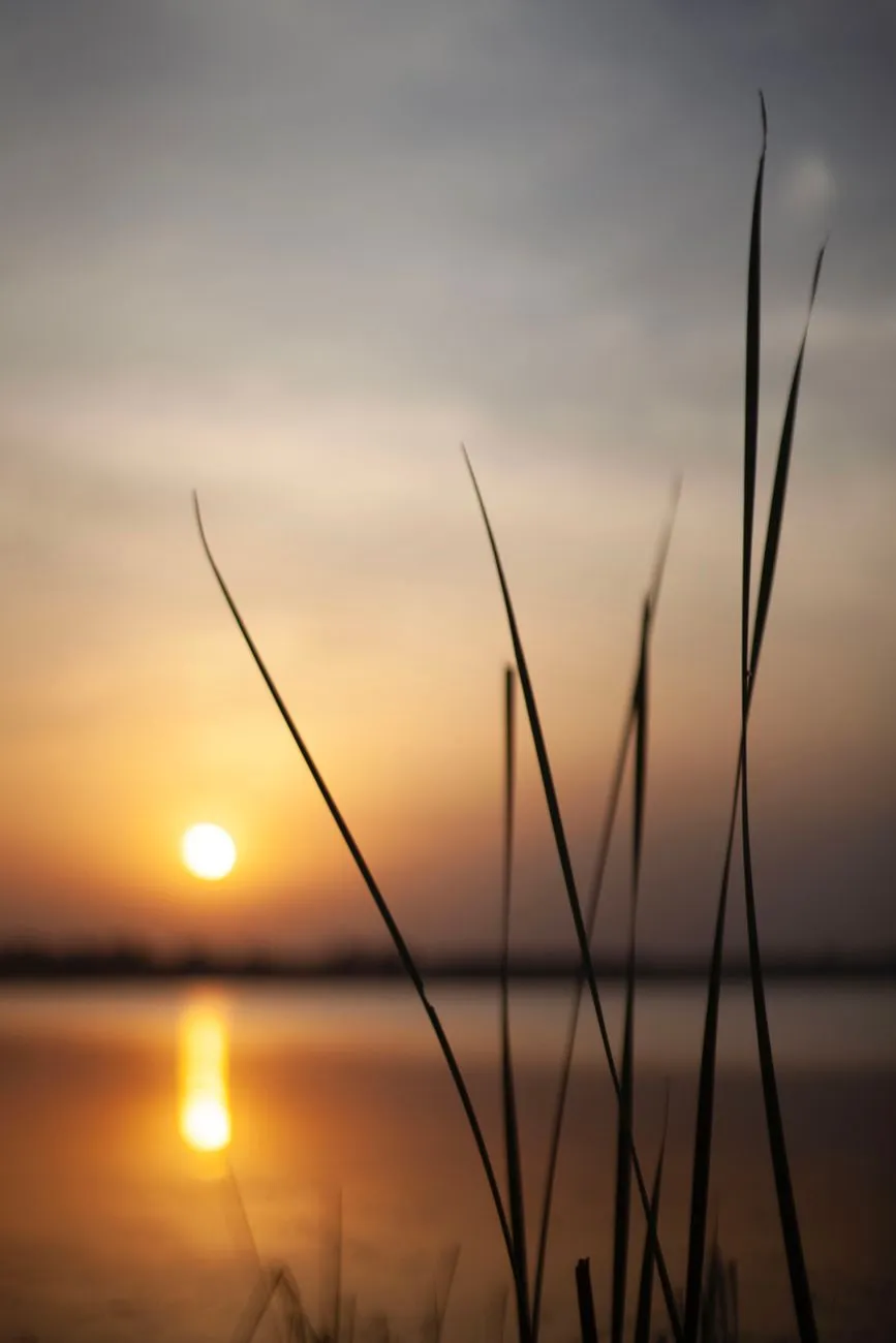 Morning Prayers to Start Your Day With God: Find Peace and Purpose