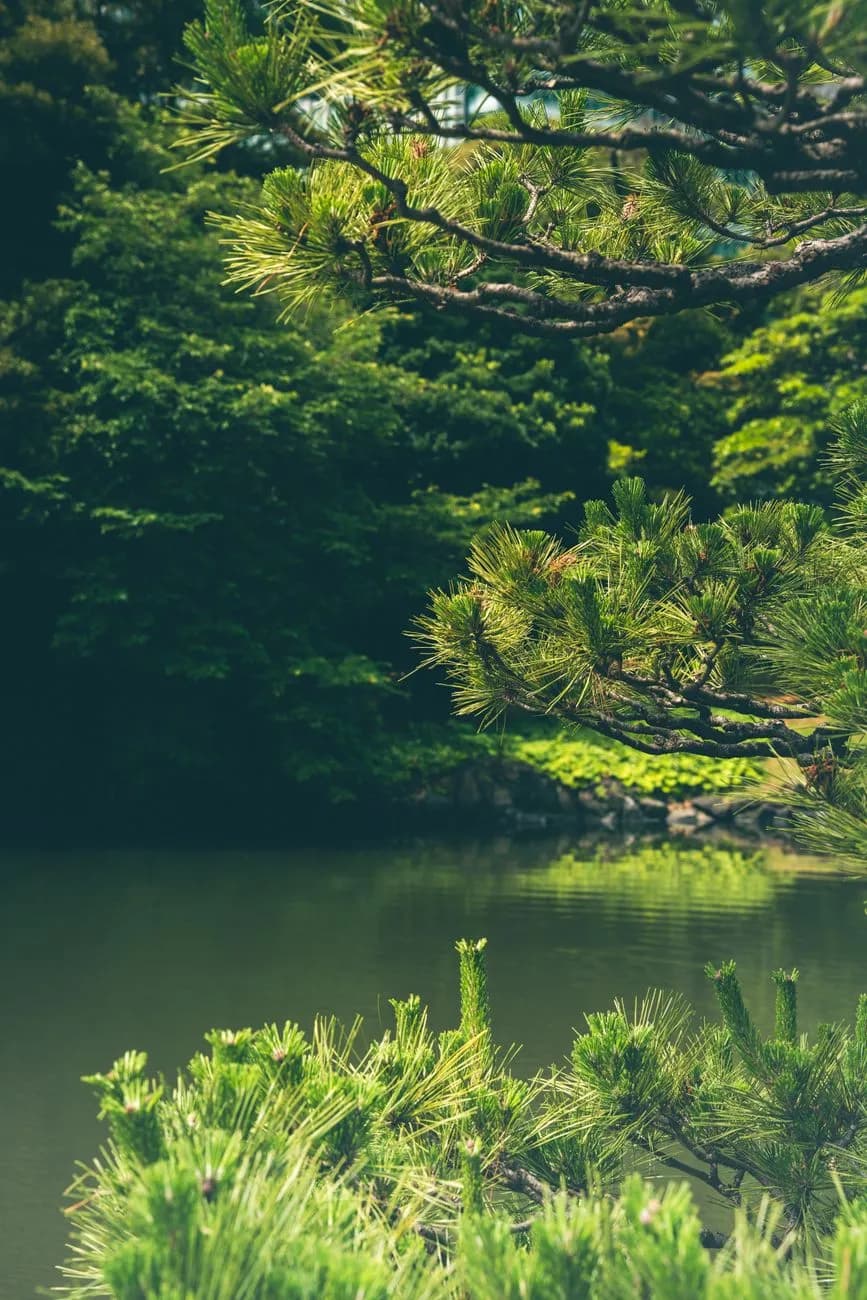 Prayer for anxiety and fear of the future