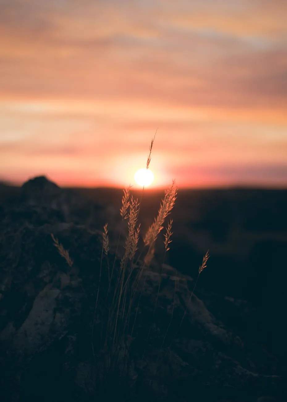 Prayer for Inner Peace and Strength During Chaos