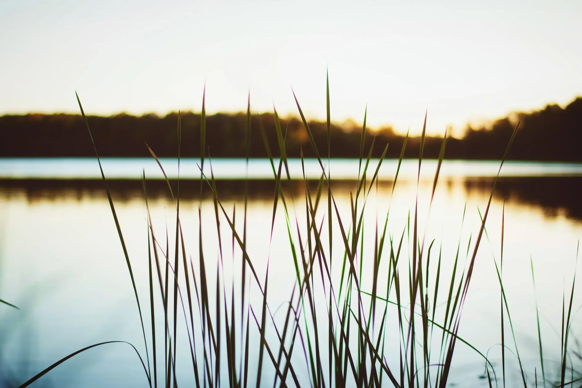 Prayer for peace when grieving a loved one