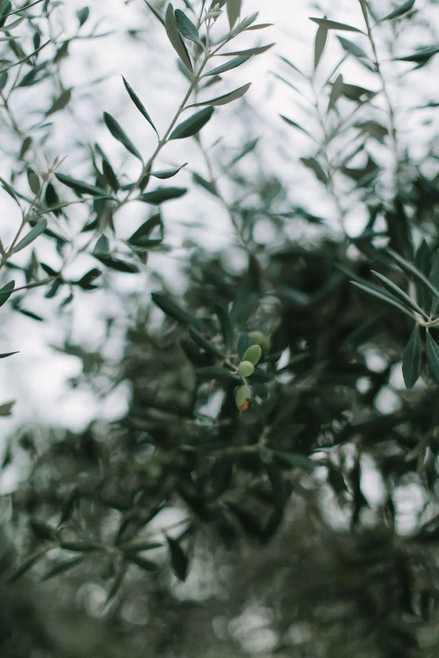 A Powerful Prayer for Prayer Journal | Seek God's Grace