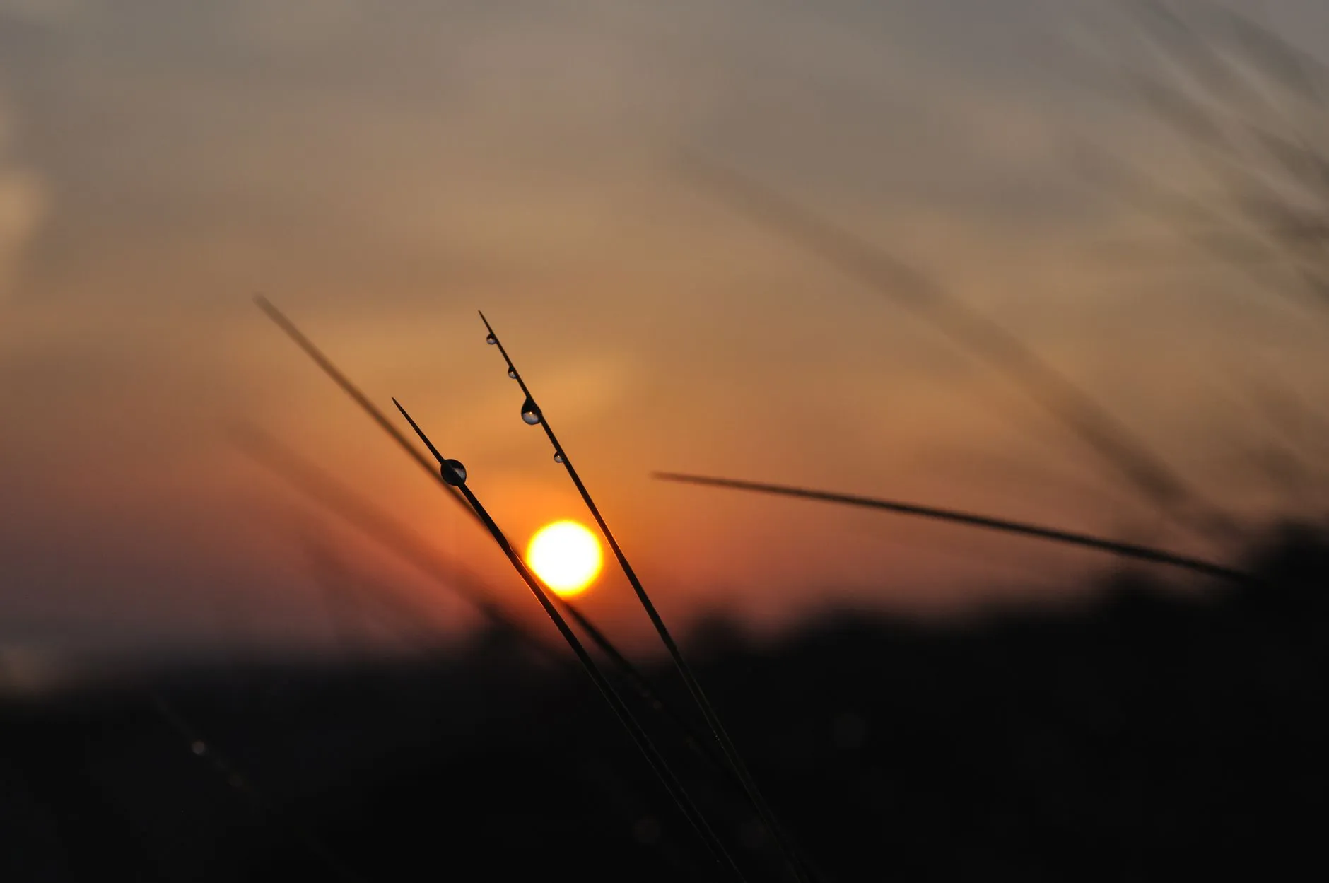Bible Verses for Protection Against Evil: Finding Peace in God’s Strength