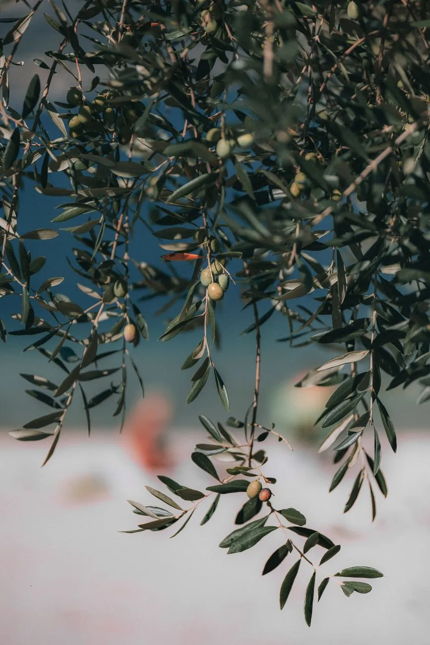 A Powerful Prayer for Christian Art | Seek God's Grace