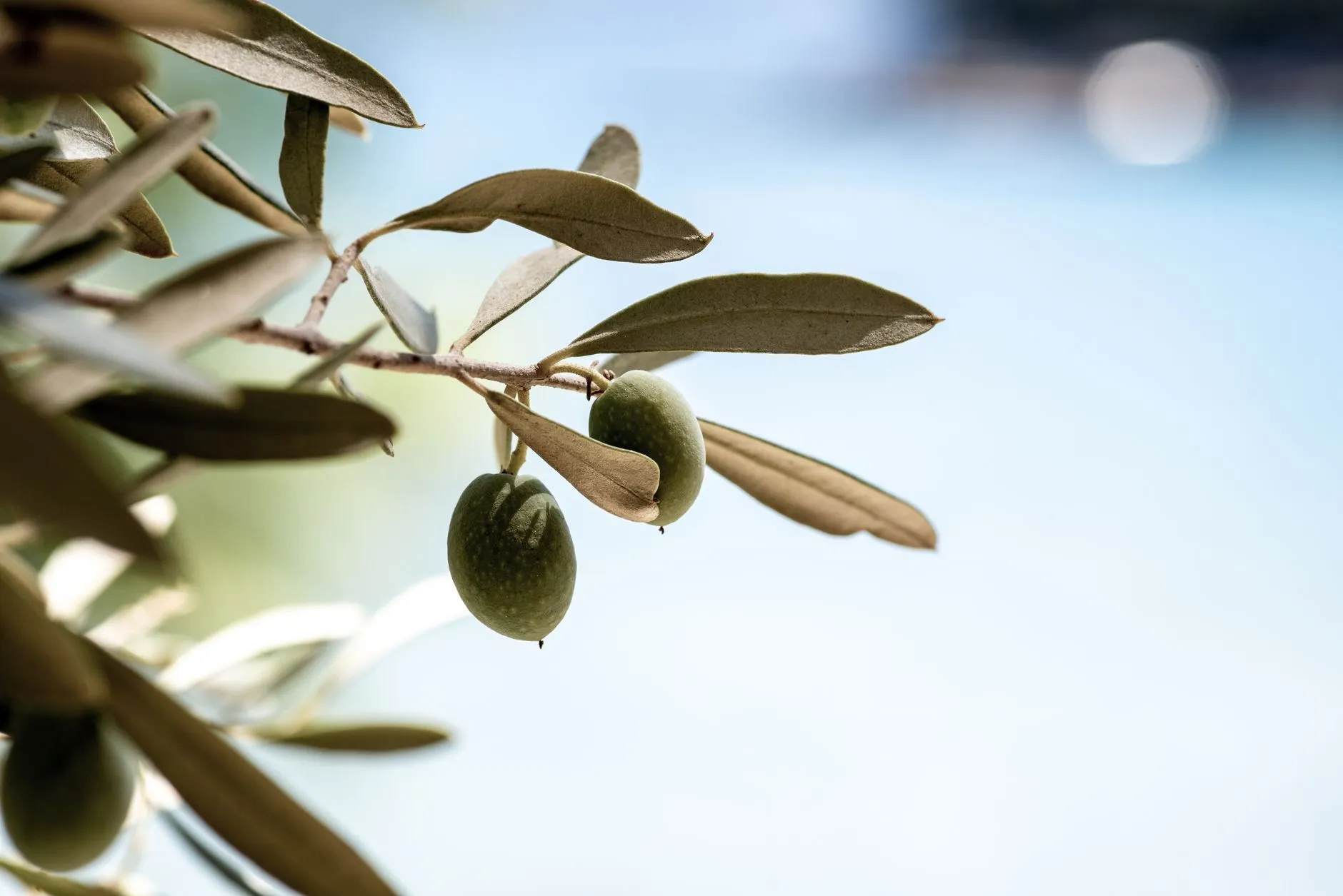 A Powerful Prayer for Christian Cruises 2026 | Seek God's Grace