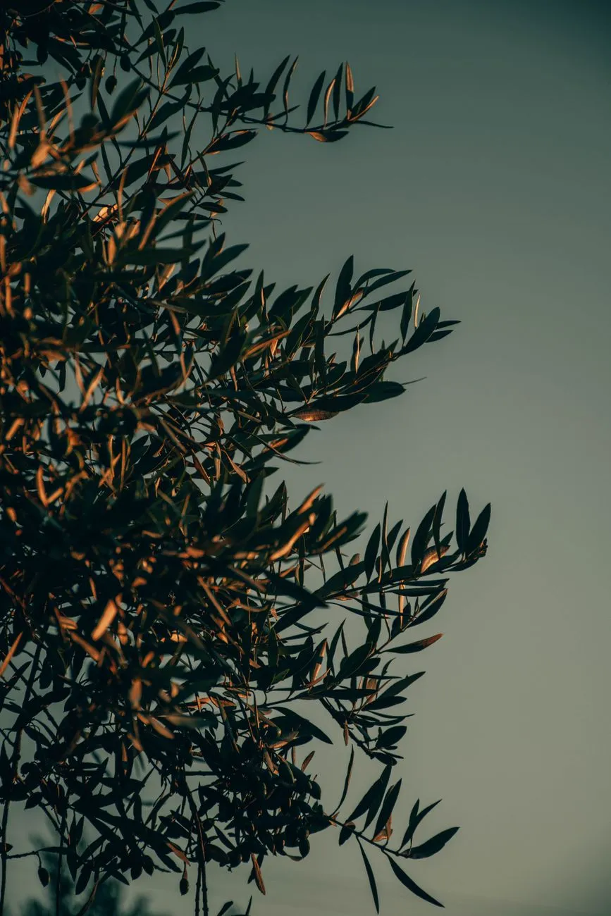 A Powerful Prayer for Christian News | Seek God's Grace