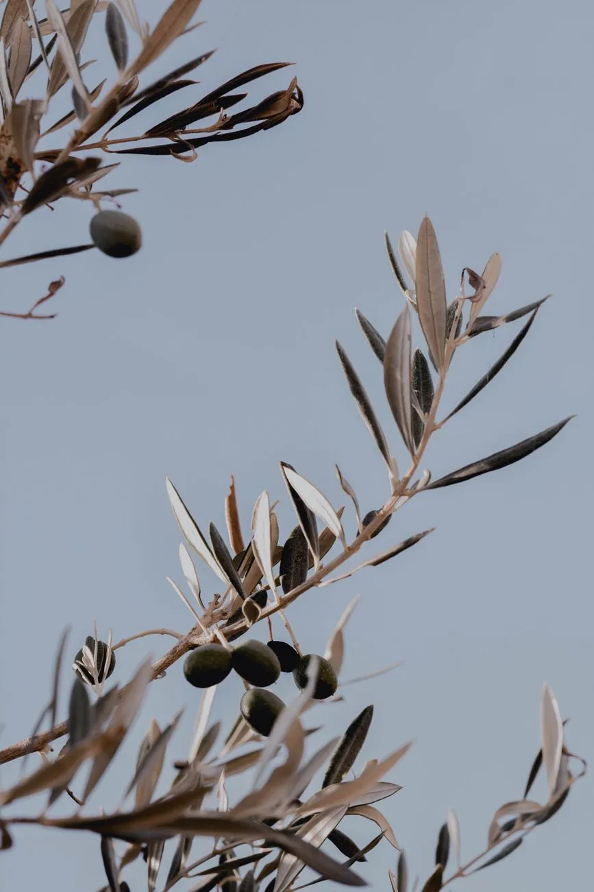 A Powerful Prayer for Church News | Seek God's Grace