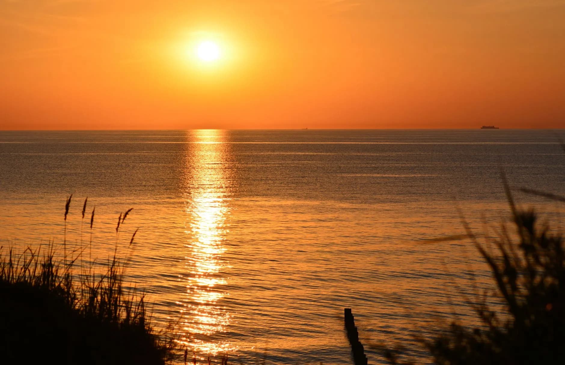 Finding Peace in a Shaking World: God as Your Unwavering Anchor