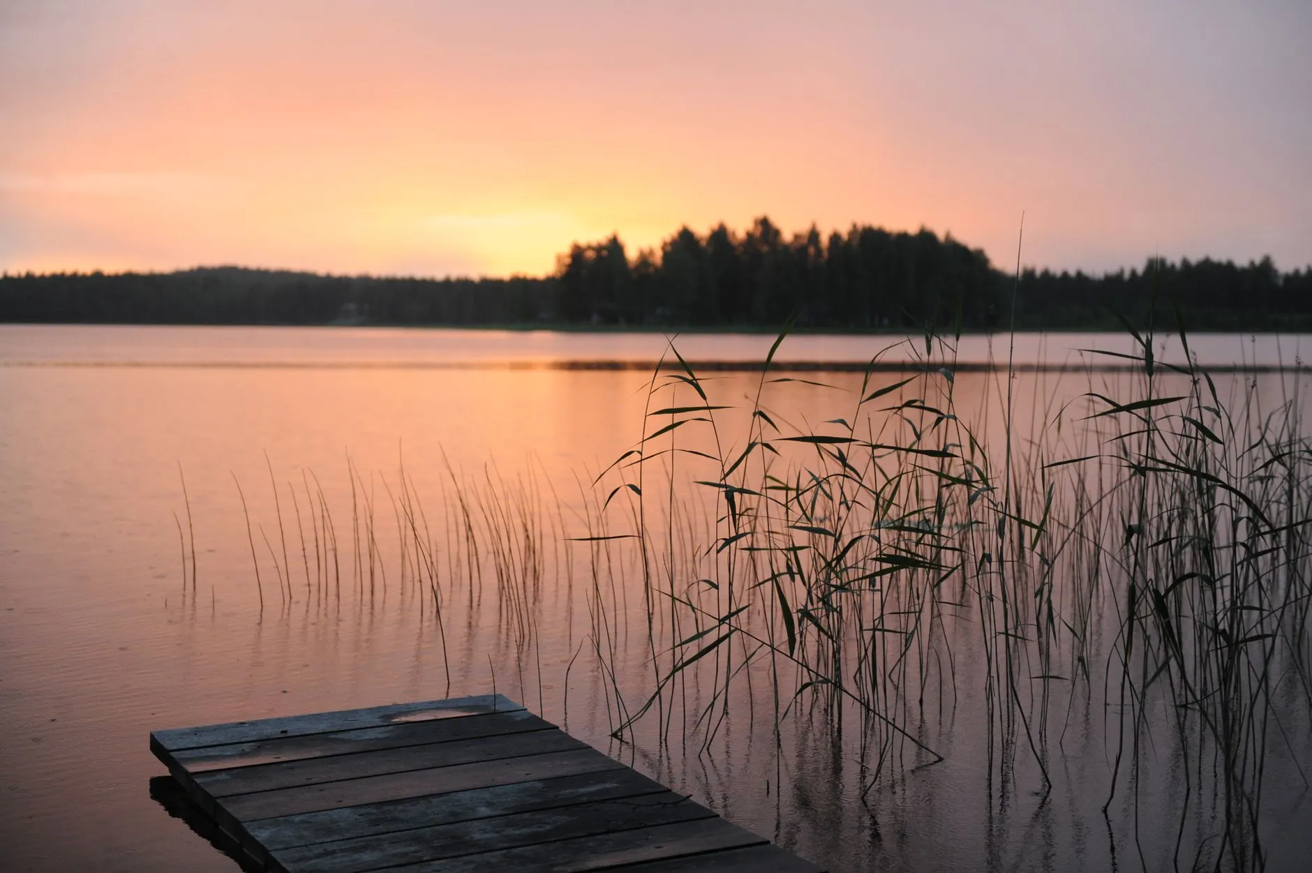 Finding Peace in Chaos: Trusting God’s Sovereignty in Uncertain Times