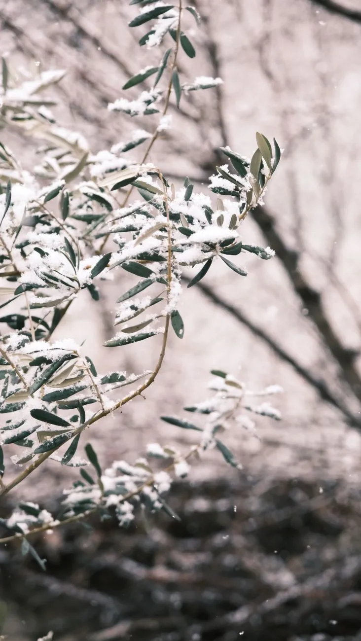 A Powerful Prayer for Germantown Baptist Church | Seek God's Grace