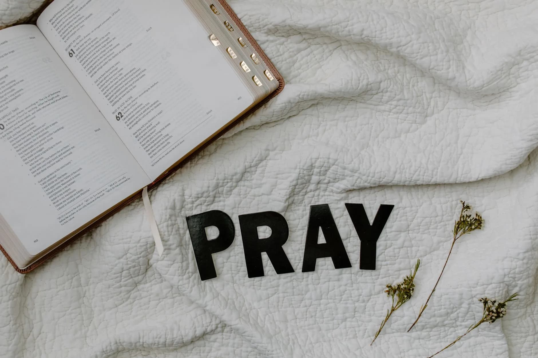 How to Pray the Psalms: A Beginner’s Guide to Connecting with God