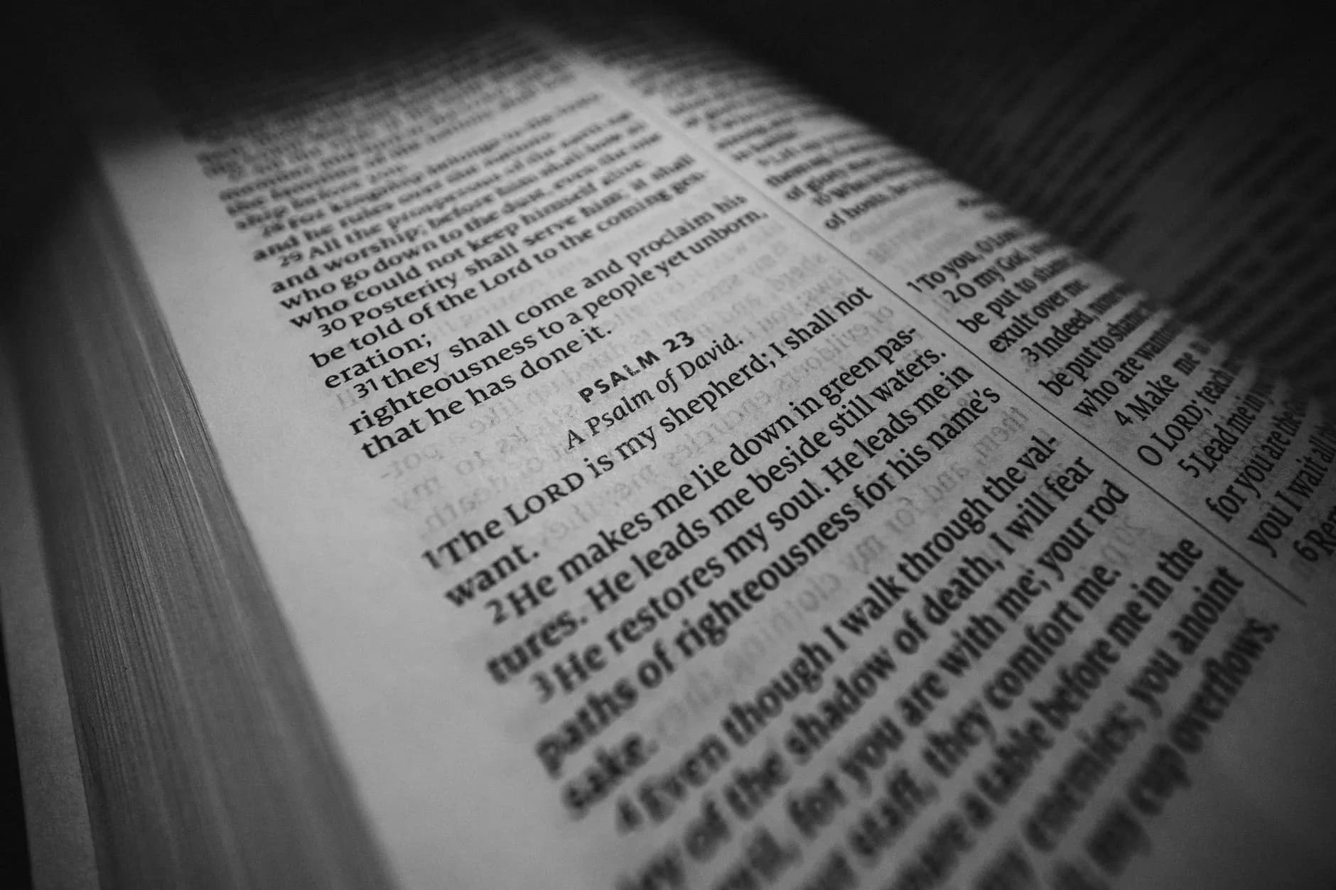How to Read the Bible Consistently and Love It