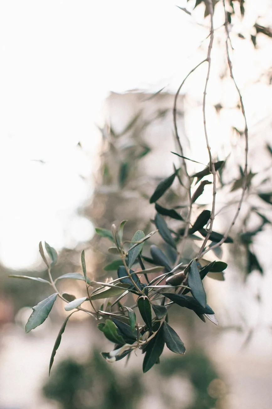 A Powerful Prayer for Impact Church | Seek God's Grace