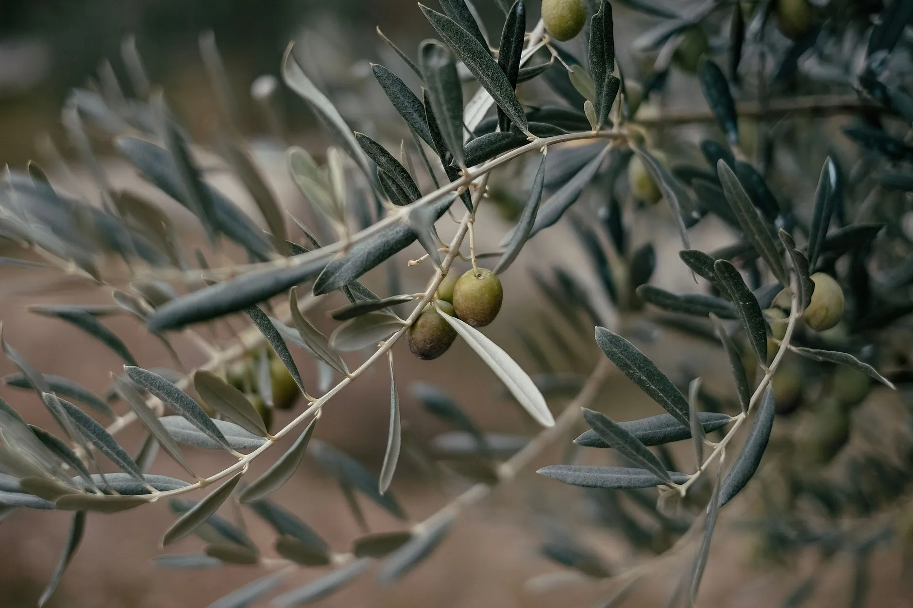 A Powerful Prayer for Lds Church News | Seek God's Grace