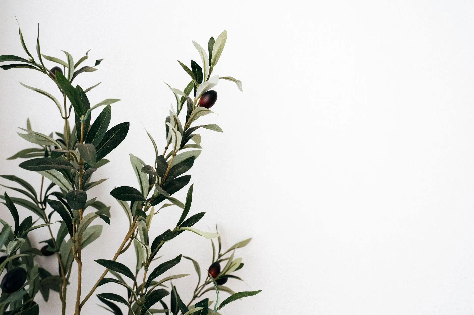 A Powerful Prayer for Lionheart Church | Seek God's Grace