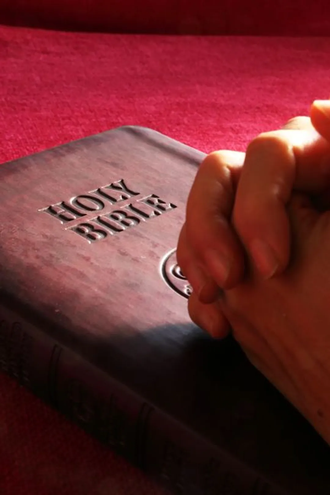 Made By God Free Tgc Playlist For Kids