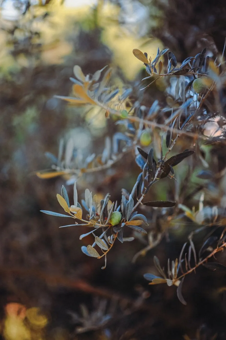 A Powerful Prayer for Mighty Name Of Jesus | Seek God's Grace