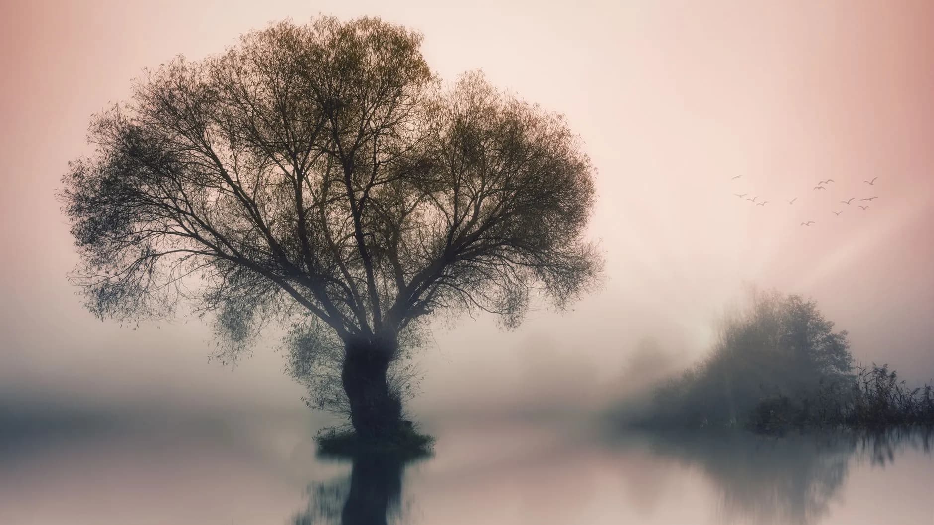 Prayer for a Friend Who is Struggling to Find Peace