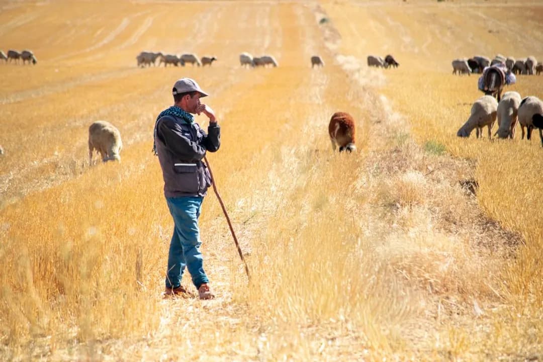 A Prayer for Farmers Affected by Drought and Crop Failures
