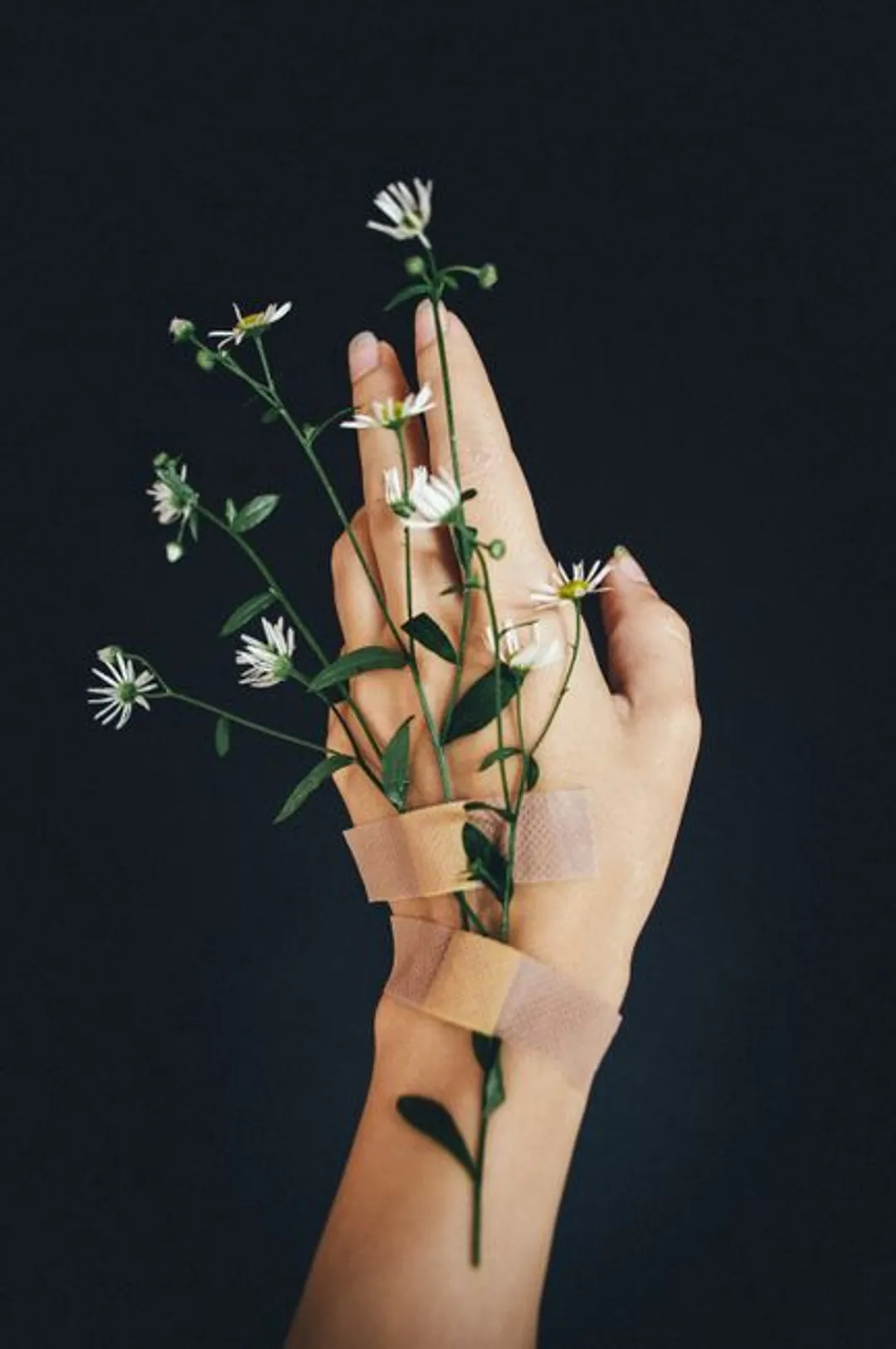 Healing Family Wounds: A Powerful Prayer for Forgiveness Within the Family