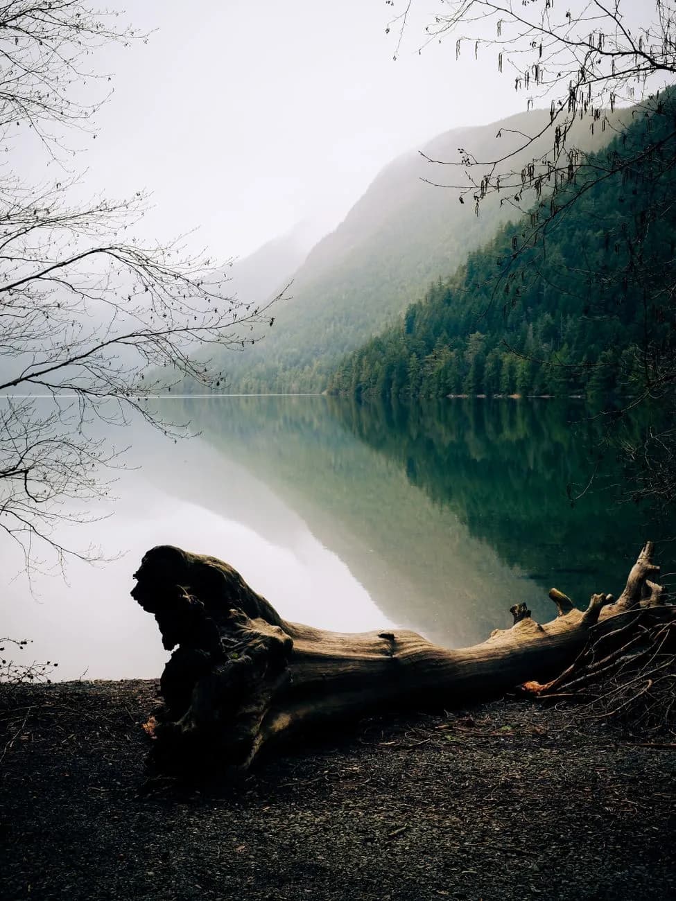 Prayer for peace and calm in times of uncertainty