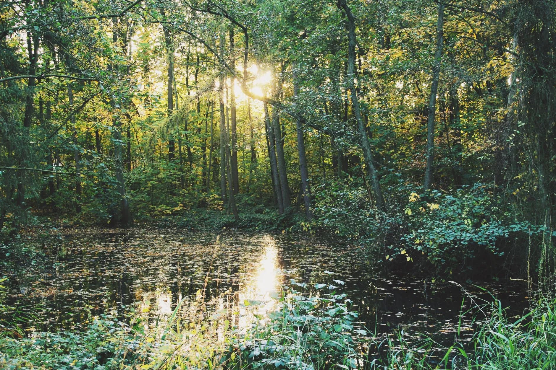Finding Peace: Prayer of Repentance and Grace