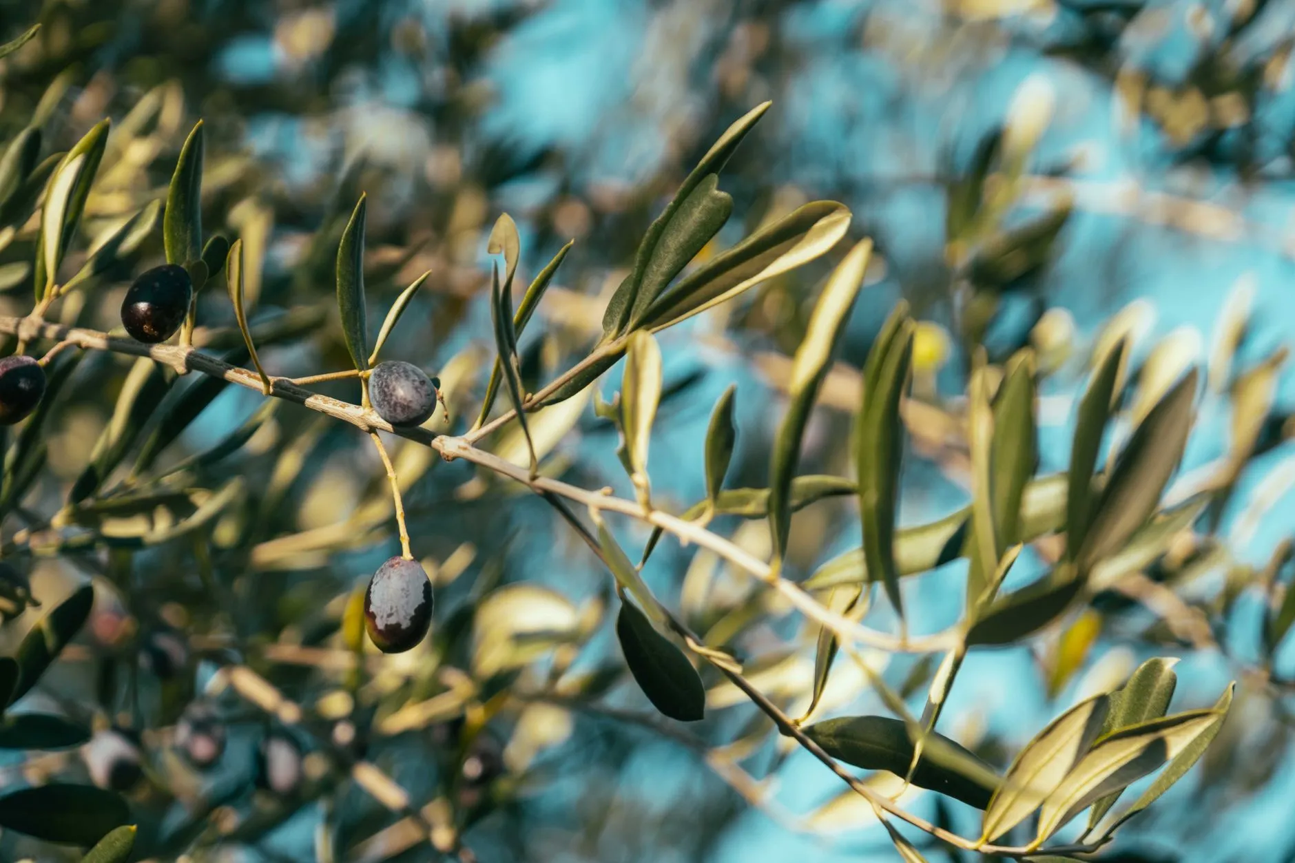 A Powerful Prayer for Prayer Time Orlando | Seek God's Grace