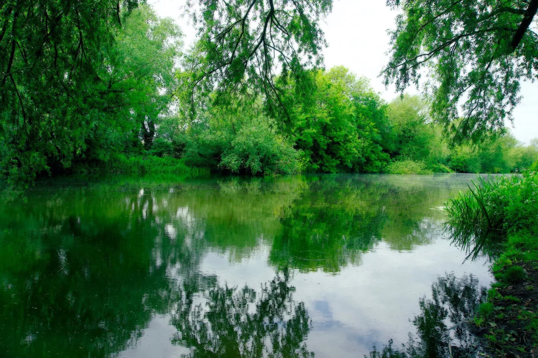 The Serenity Prayer for Acceptance: Finding Peace