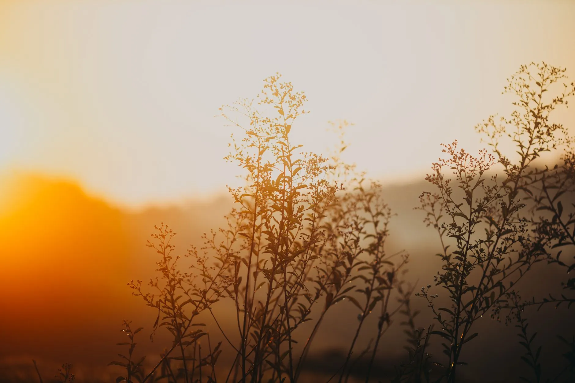 Short Prayers for Before Surgery: Finding Peace in God’s Hands