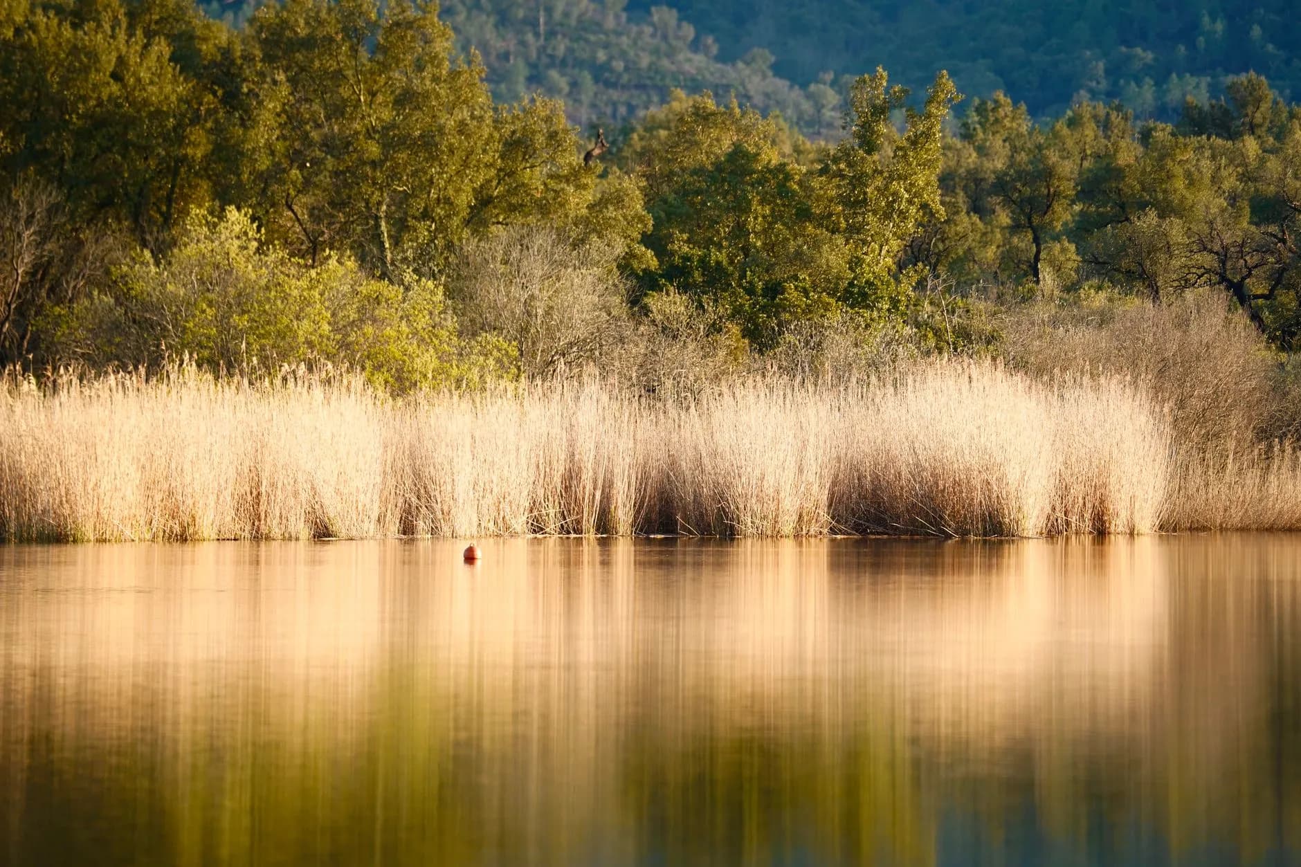 Walking with God Through Life's Challenges: Find Peace