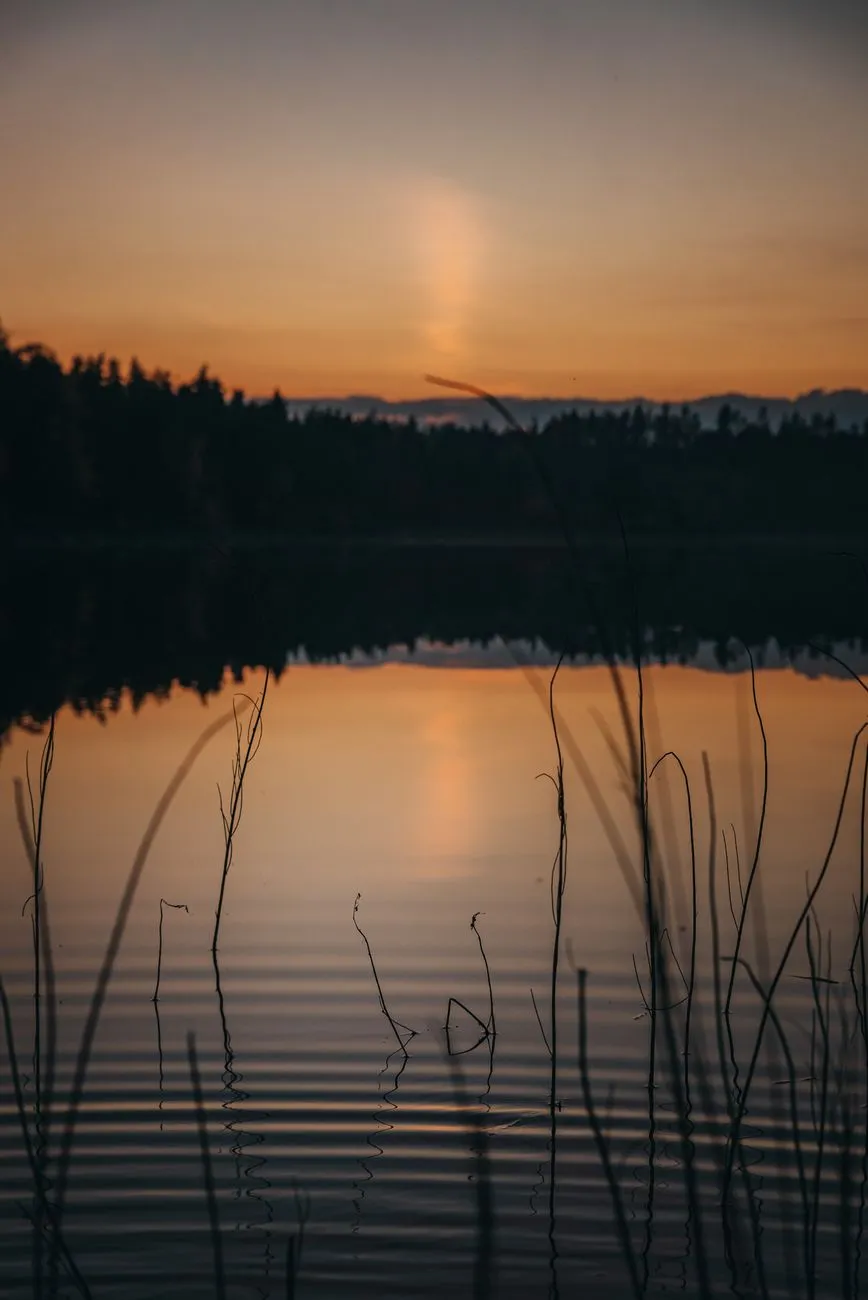 What Does the Bible Say About Forgiveness? Finding Peace and Freedom