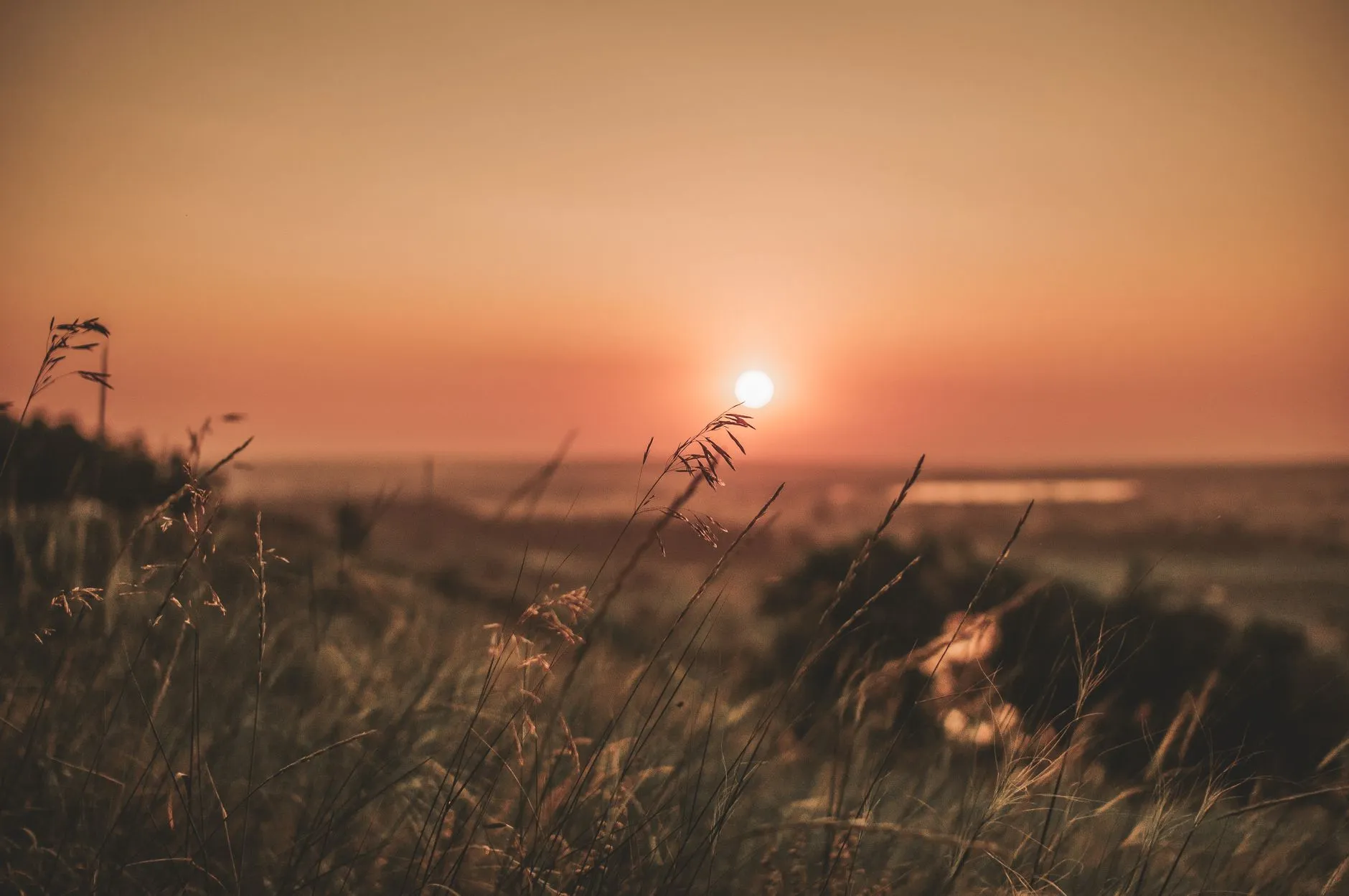 What Does the Bible Say About Forgiveness? Finding Peace and Freedom