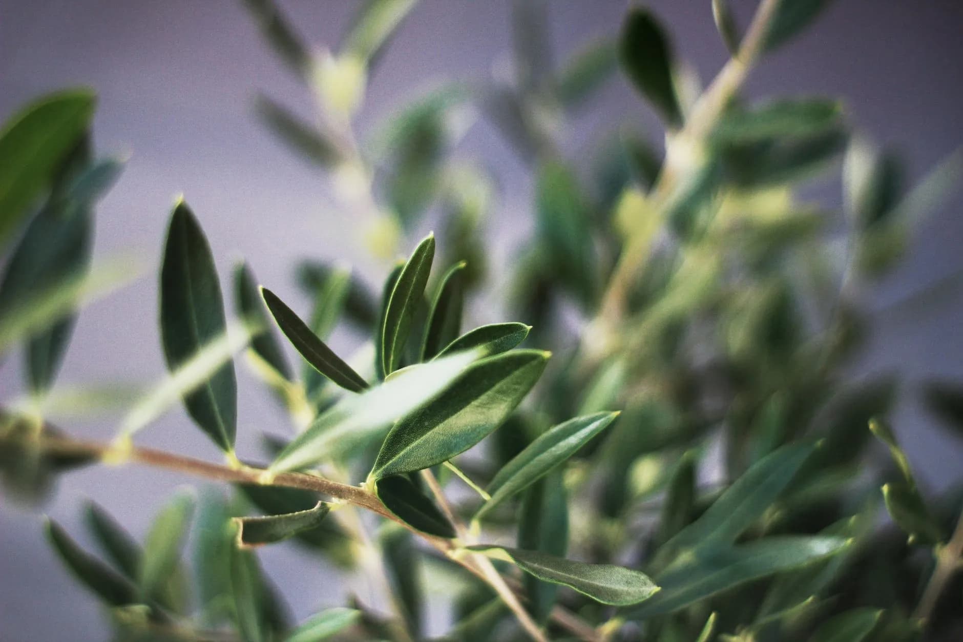 A Powerful Prayer for What Is A Christian | Seek God's Grace